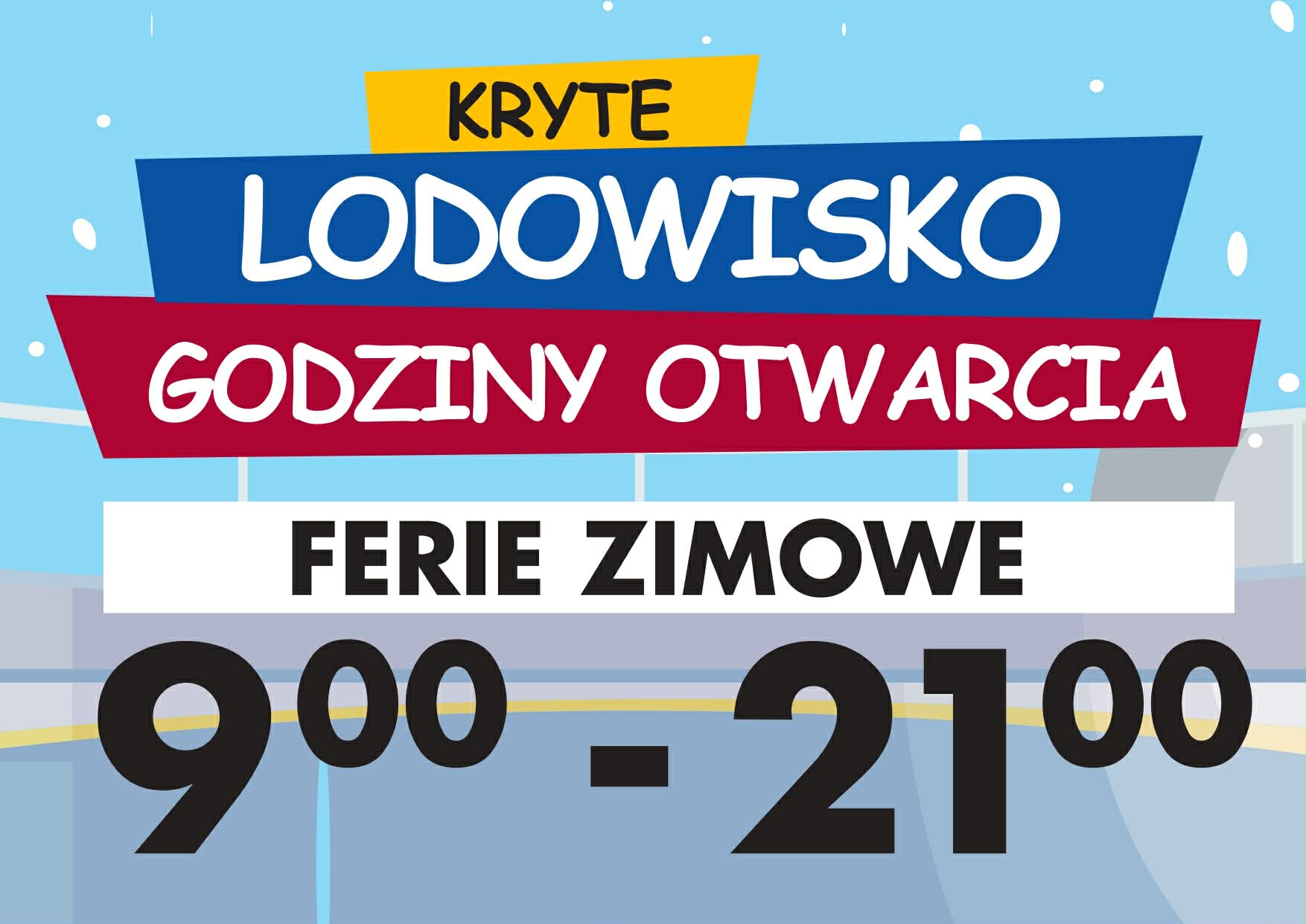 Lodowisko8