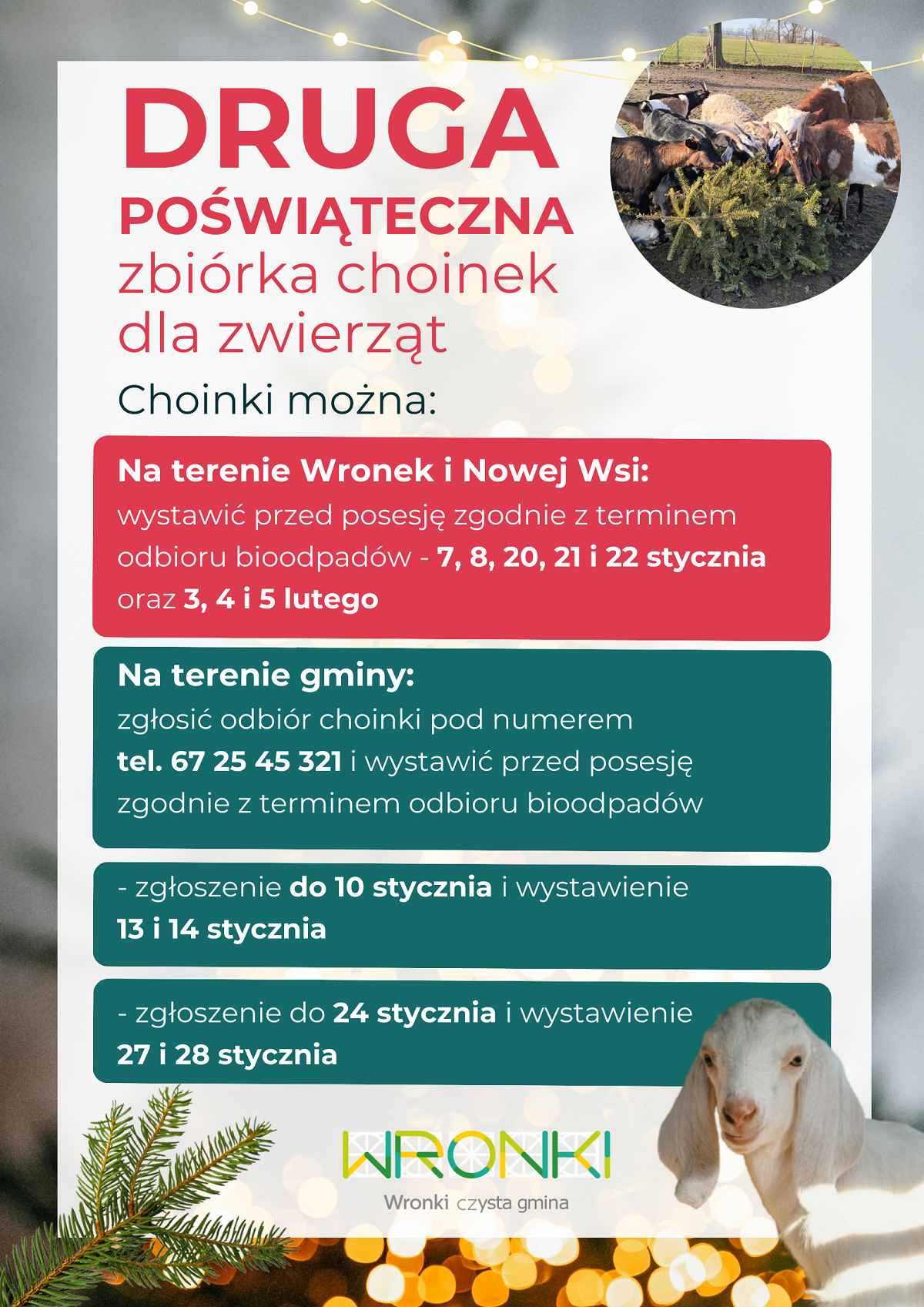 plakat5_