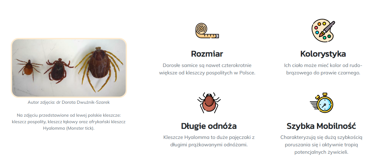 Kleszcz