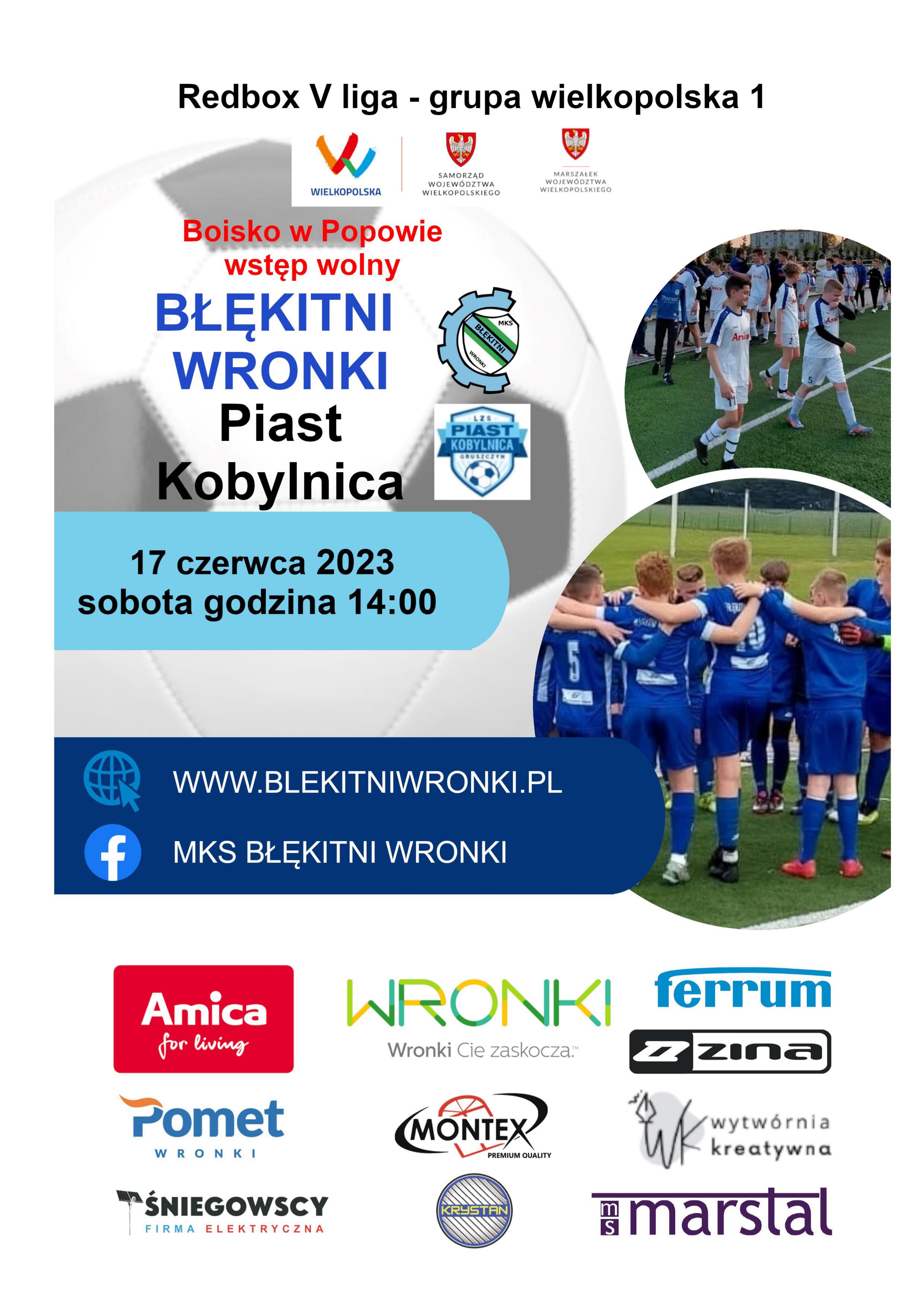 piast_kobylnica_02