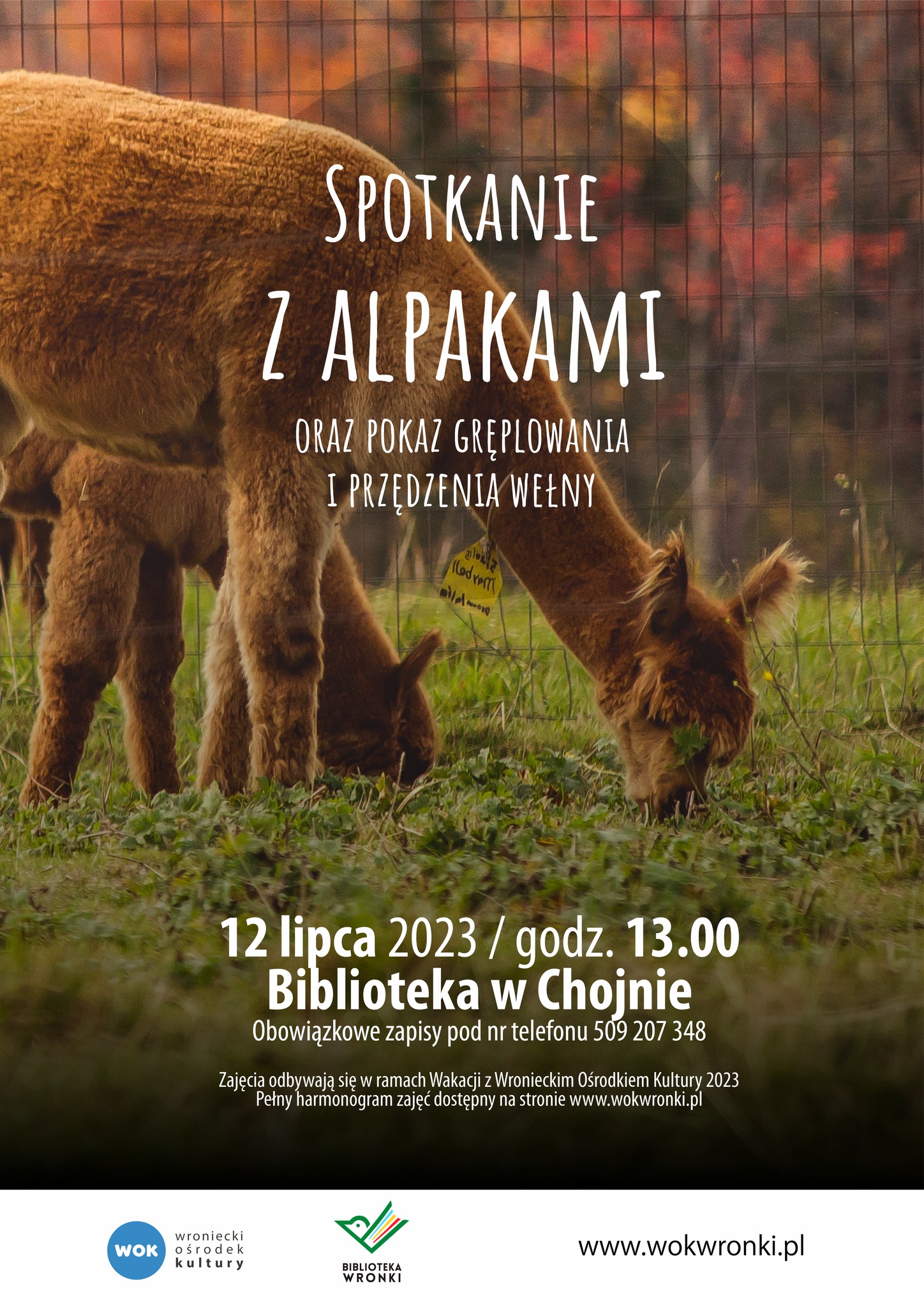 spotkanie_z_alpakami