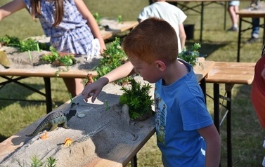 Piknik Rodzinny (14)