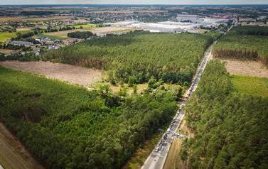 IMI_DJI_0340 (12)
