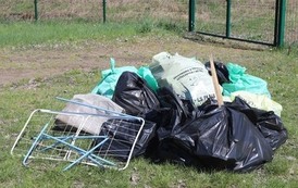 Sprzątanie Brzeg&oacute;w Warty (9)