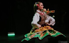 IMG048