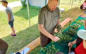 Rajd MDP (2)