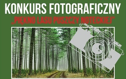 Zdjęcie do &bdquo;Piękno lasu Puszczy Noteckiej&rdquo; &ndash; konkurs fotograficzny 