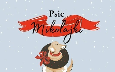 Zdjęcie do Psie Mikołajki z Fundacją Animaniacy 