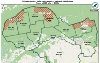 Zdjęcie do Okresowy zakaz wstępu do lasu! Nadleśnictwo Wronki, Krucz i Potrzebowice 