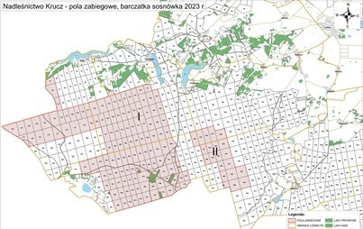 Zdjęcie do Nadleśnictwo Krucz rozszerza obszar oprysk&oacute;w 