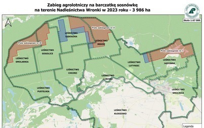 Zdjęcie do Nadleśnictwo Wronki wydłuża okresowy zakaz wstępu do lasu w związku z opryskami 