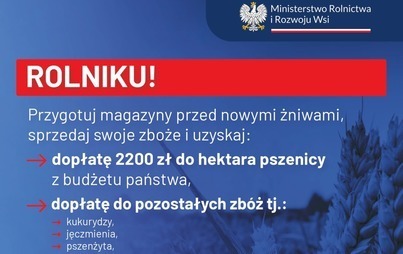 Zdjęcie do Rolniku - przygotuj magazyny przed nowymi żniwami