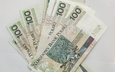 Zdjęcie do Radni obniżyli wynagrodzenie burmistrza do minimum