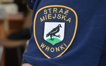 Zdjęcie do Darmowa sterylizacja i kastracja kot&oacute;w
