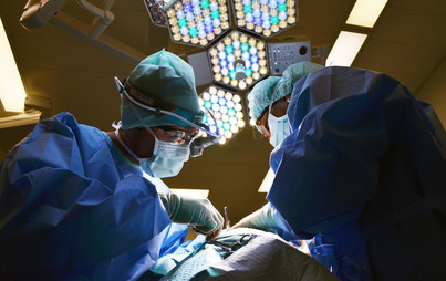 Zdjęcie do Sejmik Wojew&oacute;dztwa Wielkopolskiego apeluje o społeczną akceptację transplantacji