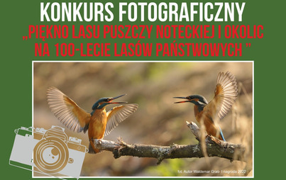 Zdjęcie do Konkurs fotograficzny - &bdquo;Piękno lasu Puszczy Noteckiej na 100 lecie Las&oacute;w Państwowych" 