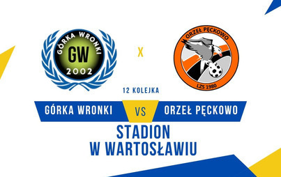 Zdjęcie do Mecz: G&oacute;rka Wronki 2002 &ndash; LZS Orzeł Pęckowo  