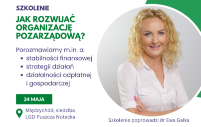 Zdjęcie do Jak rozwijać organizację pozarządową?