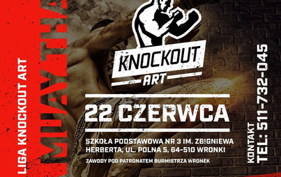 Zdjęcie do Liga muay thai we Wronkach!