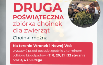 Zdjęcie do Poświąteczna zbi&oacute;rka choinek dla zwierząt