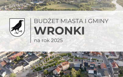 Zdjęcie do Budżet Miasta i Gminy Wronki na rok 2025