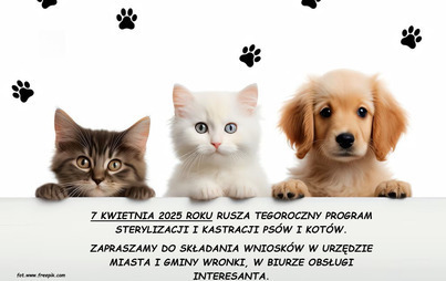Zdjęcie do Dofinansowanie do zabiegu sterylizacji i kastracji ps&oacute;w i kot&oacute;w 