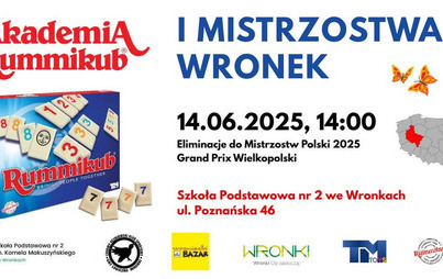 Zdjęcie do I Mistrzostwa Wronek w Rummikub