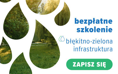 Zdjęcie do Szkolenia z błękitno-zielonej infrastruktury