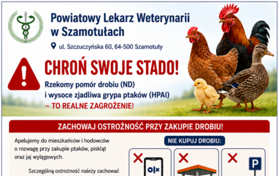 Zdjęcie do Chroń swoje stado! &ndash; zachowaj ostrożność przy zakupie drobiu