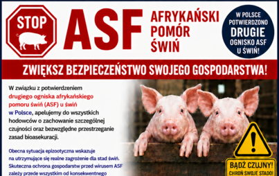Zdjęcie do Stop ASF &ndash; w Polsce potwierdzono drugie ognisko ASF u świń!