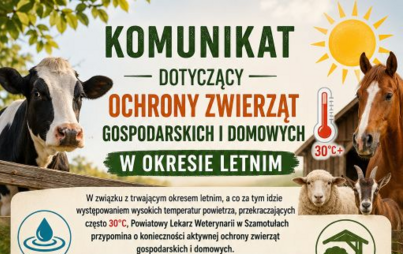 Zdjęcie do Chroń zwierzęta podczas upał&oacute;w!