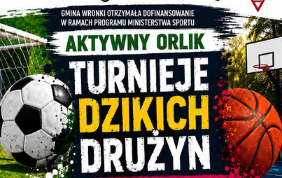 Zdjęcie do Turniej Dzikich Drużyn &ndash; 16 sierpnia