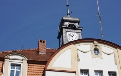 Zdjęcie do Ogłoszenie o wynikach otwartego konkursu ofert na realizację zadań publicznych w 2022 r. - ochrona zwierząt