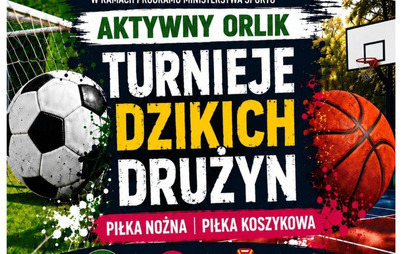 Zdjęcie do Kolejna sobota na Orliku &ndash; Turniej Dzikich Drużyn