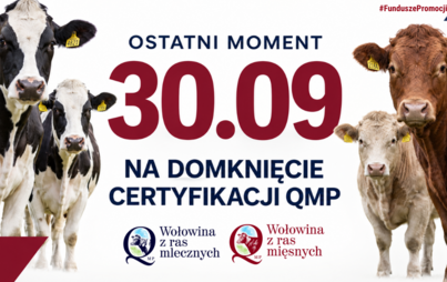 Zdjęcie do Certyfikat QMP &mdash; termin uzyskania upływa 30 września 2026 r.