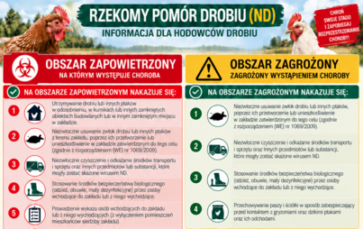 Zdjęcie do Przypominamy o zasadach bioasekuracji - choroby drobiu 