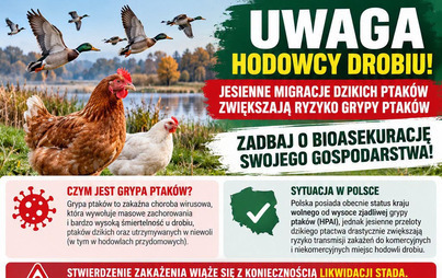 Zdjęcie do Zagrożenie grypą ptak&oacute;w związane z jesiennymi migracjami