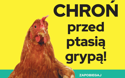 Zdjęcie do Chroń swoje ptactwo przed ptasią grypą!