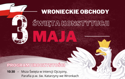 Zdjęcie do Święto Konstytucji we Wronkach