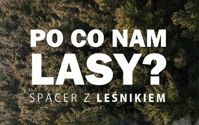 Zdjęcie do "Po co nam lasy?" - spacer z leśnikiem