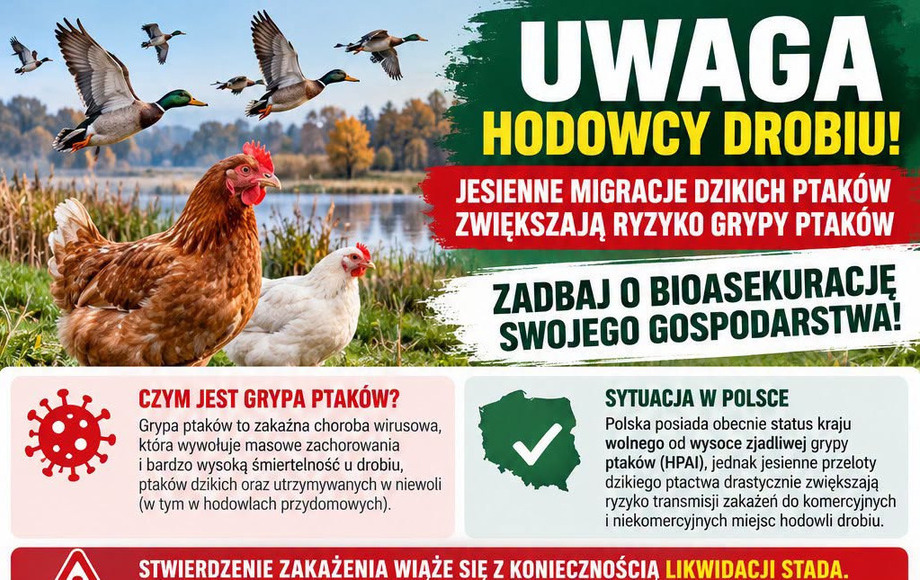 Ostrzeżenie przed grypą ptaków w powiecie szamotulskim